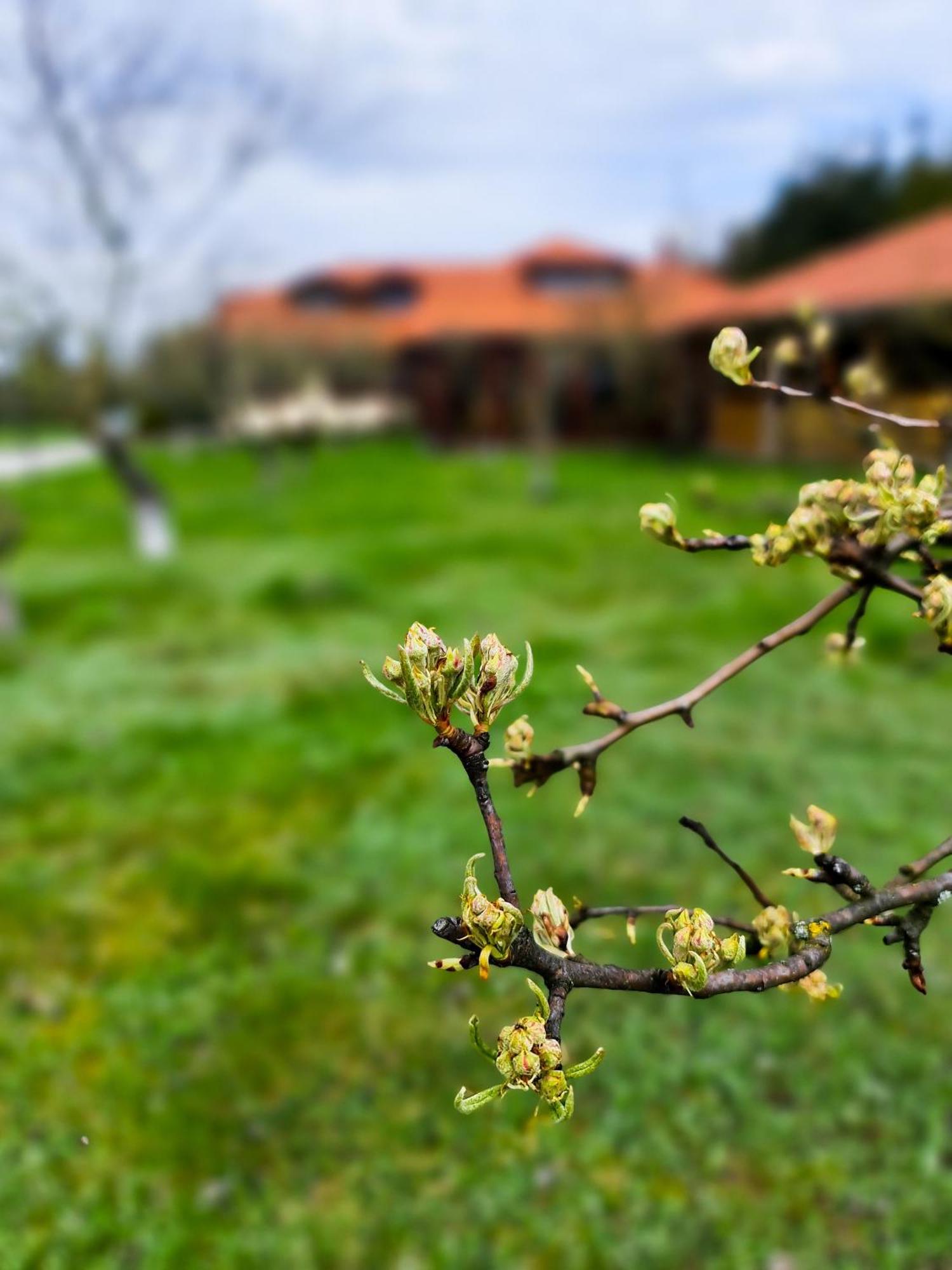 Gościniec Gryszczeniówka Wargowo Exterior foto